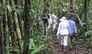 Amazon Rainforest 4 Days: 2 Eco-Systems